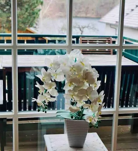 Apartment Dachwohnung Mit Wasserblick Und Eigenem Bootssteg *
