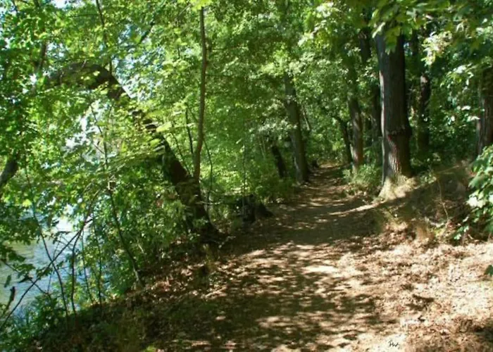 Dachwohnung Mit Wasserblick Und Eigenem Bootssteg 베를린