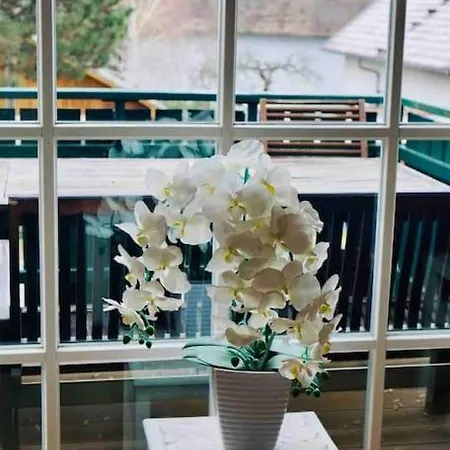 아파트 Dachwohnung Mit Wasserblick Und Eigenem Bootssteg *