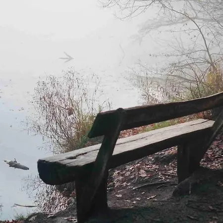 Dachwohnung Mit Wasserblick Und Eigenem Bootssteg Berlin